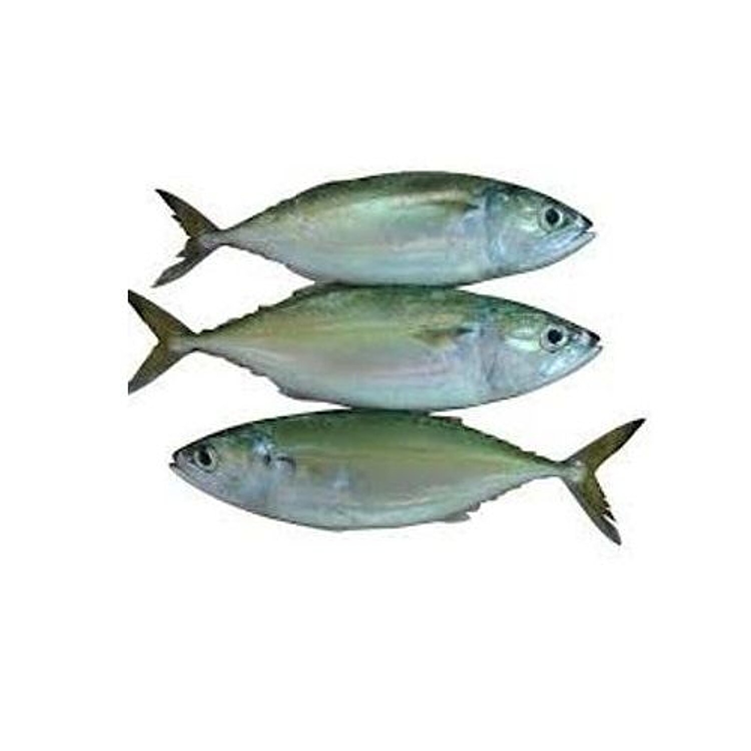 Item
